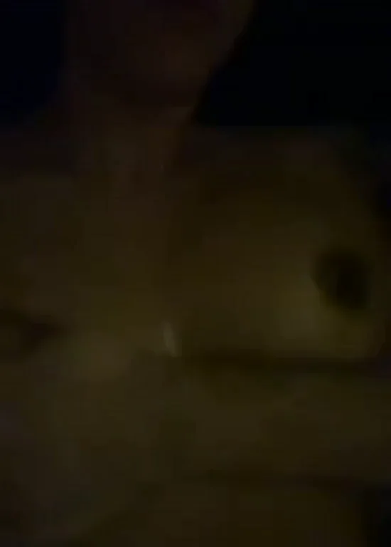 The BEST OILY TITS