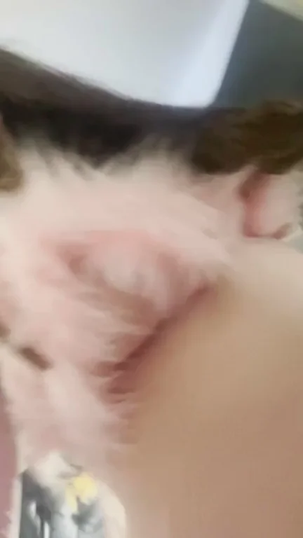 Cuddle with me please