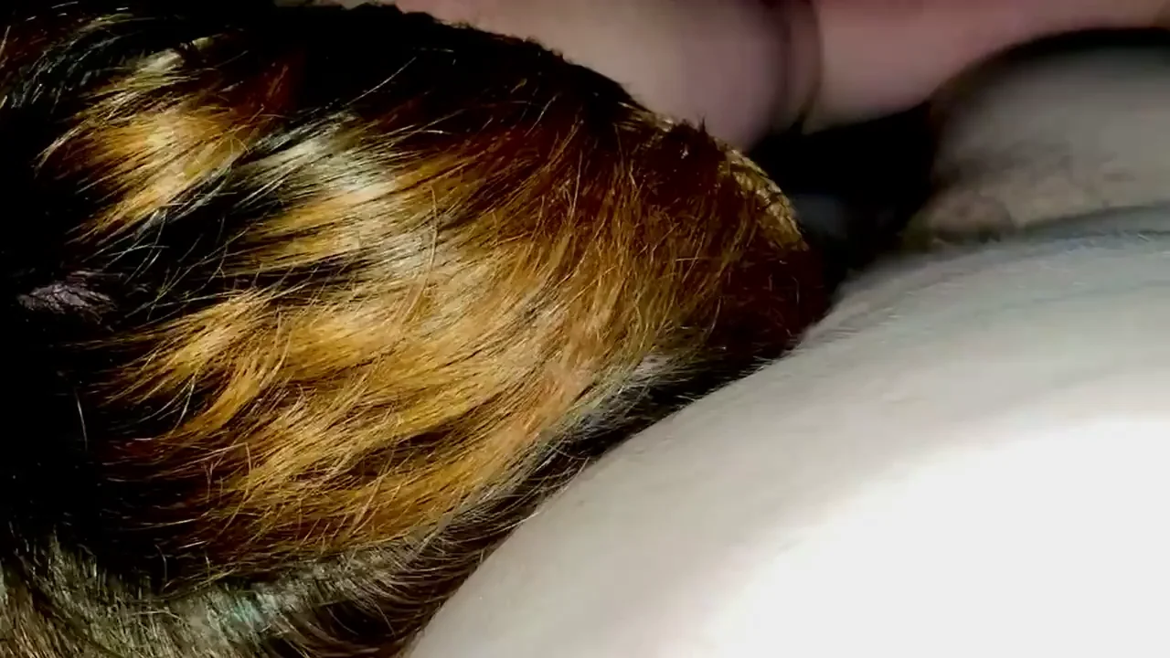 Chubby Slut Deepthroats Daddy's Cock, Begs for Pussy Creampie 🤤🍆💦