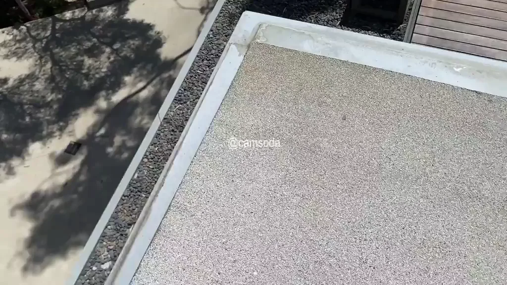 checking out my downstairs neighbor... ?