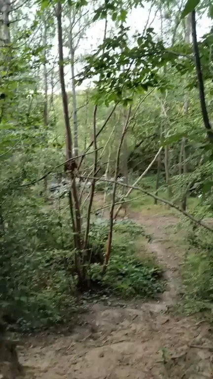Park Stroll Turns into Sloppy Facial Cumshot 😈🌳💦