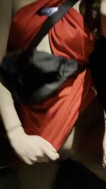 Petite Asian Babe's Lips Snagged in Fishnet Tease 😈👄🕸️