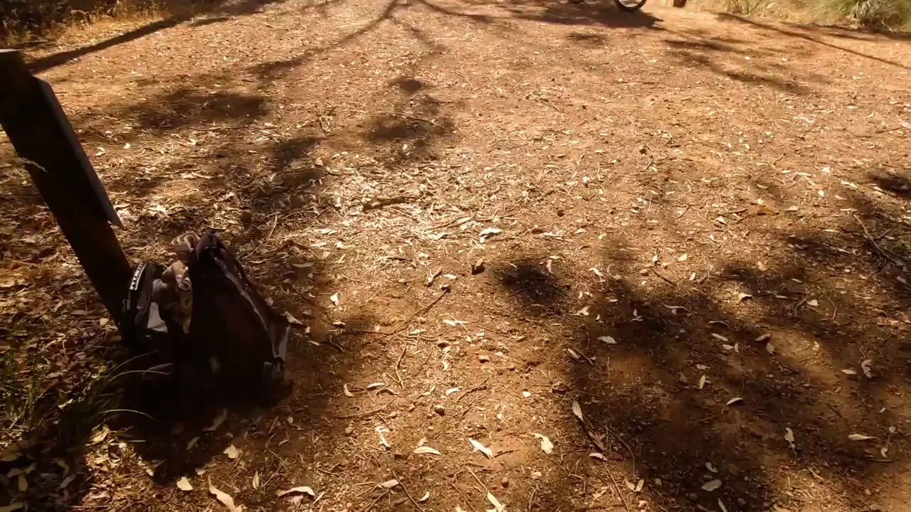 Trailside Slut Sucks Cock Right by the Path!
