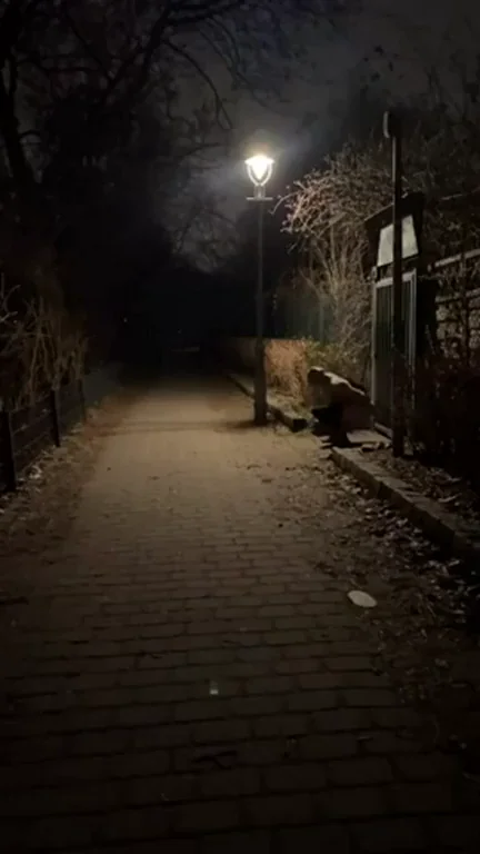 Steamy Public Piss Path 😈💦🌃