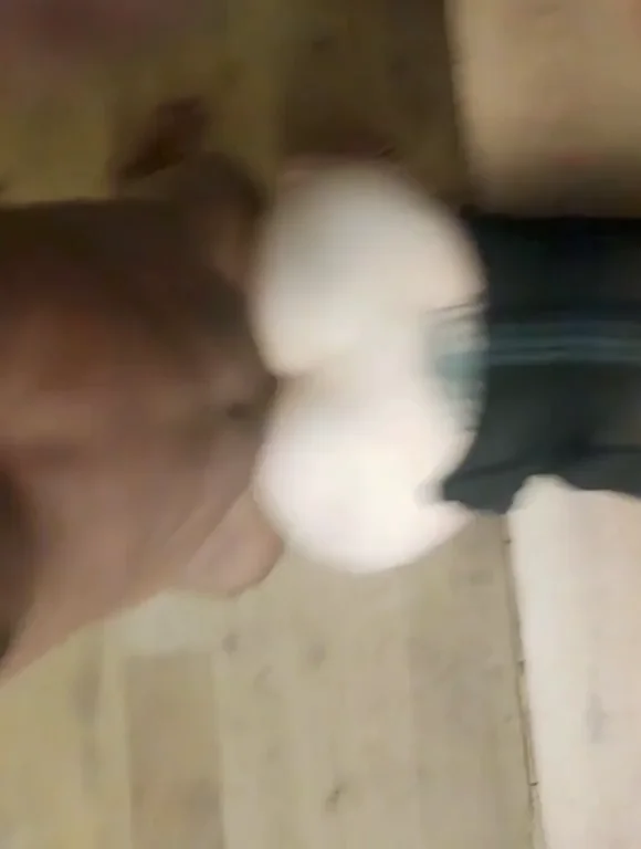 Hubby Gropes Wife's Juicy Fat Ass 🍑💦