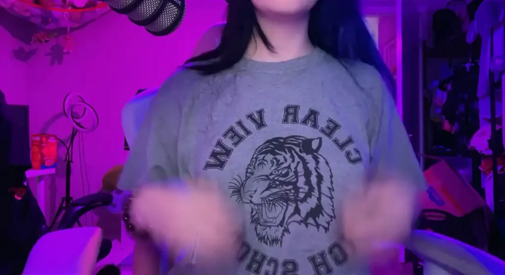 am i ur favorite streamer?