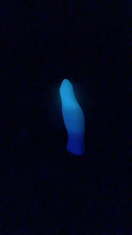 [Male] M/M Habu custom glow in the dark