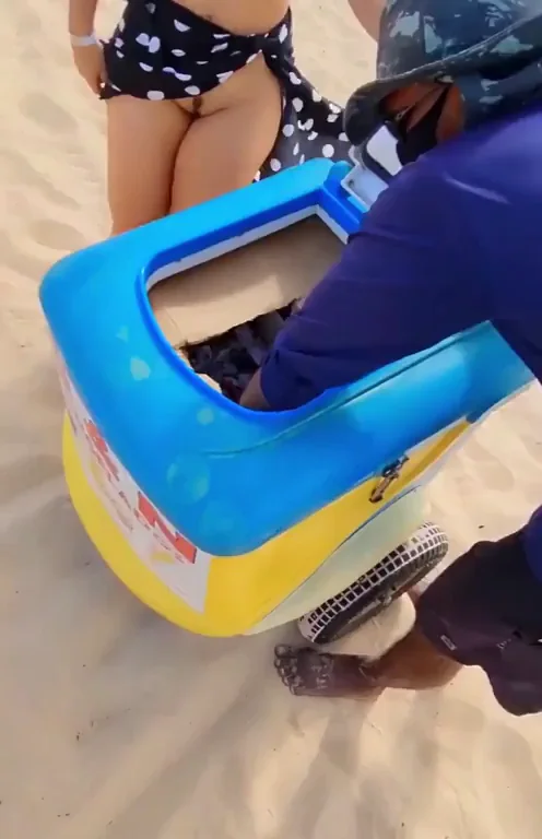 Brazilian Slut Flashes Tits at Beach Vendor Cart 😈🏖️🍦