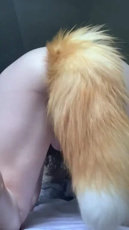Tailplug labia reveal