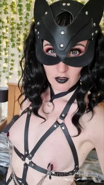 Leash This Goth Kitten for Halloween? 🐱⛓️🔥