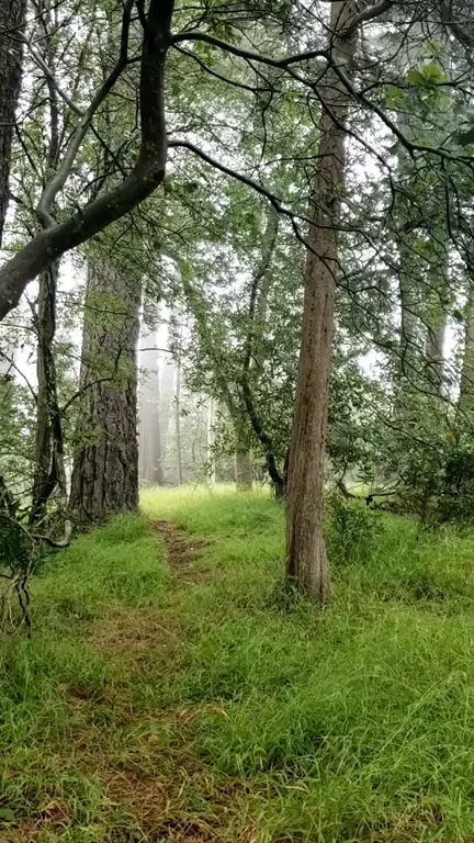 Observing Nude Hiking Day