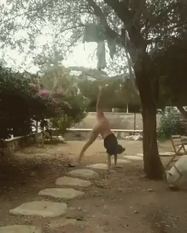 Dog Spots a Total Bitch in Heat 🐶😈