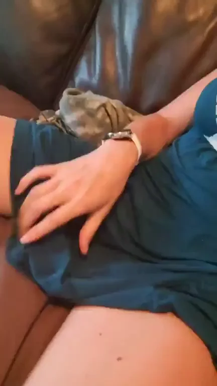 Little pussy action to start your Thursday ?
