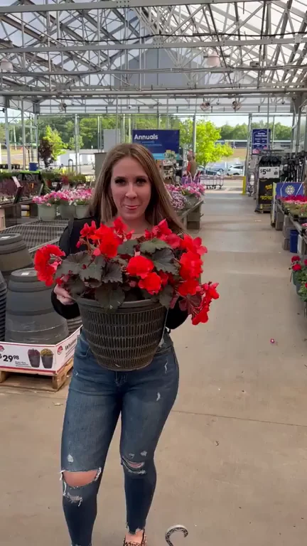 Just having some fun picking out plants ;)