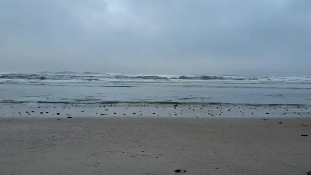 I Always Enjoy the Beach, even when it's Cool and Gray