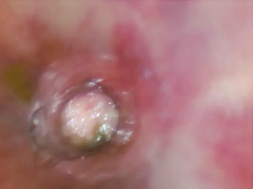 Oh, just what it looks like inside when getting penetrated and having an orgasm from the buttplug's POV