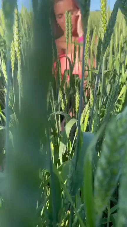 striptease in the field with wheat 21F