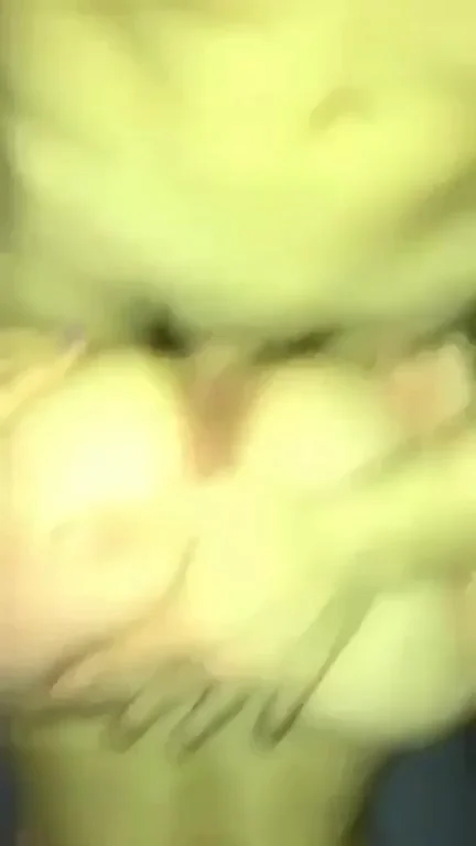 Cheating on my girlfriend makes my jock cock feel so good