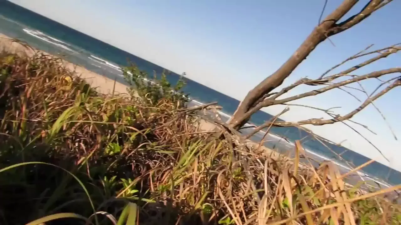 Petite Beach Slut Knows the Perfect Public BJ Spot 😈