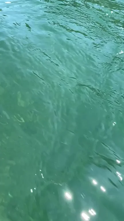 Lost at sea, what could possibly happen...