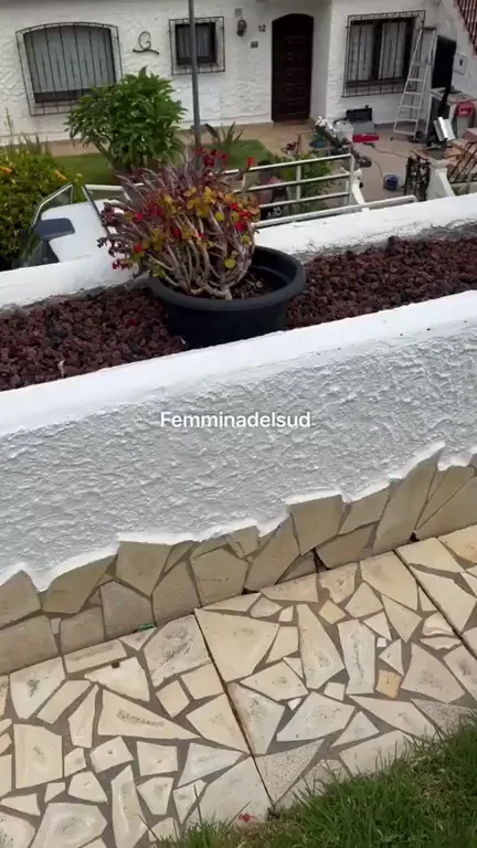 Anyone to cut my garden's grass?