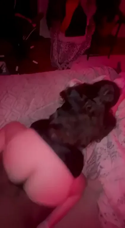 I always sneak over to my boyfriends best friends house because he knows how to fuck me. I'll take bbc over my bf over and over again! I love it so much