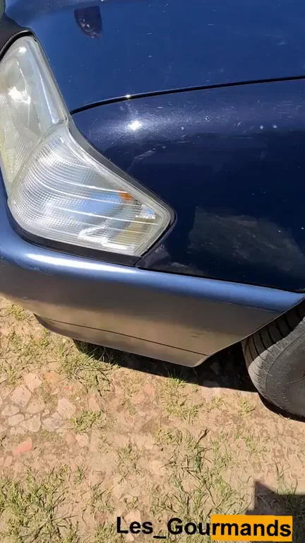 [OC] oh yessssss. It's good in the grass