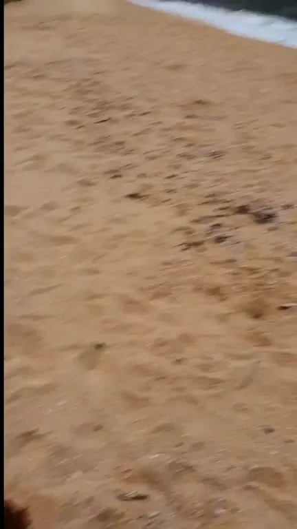 Beach Slut Sucks Fat Cock Like It's Candy 🍆🏖️💦