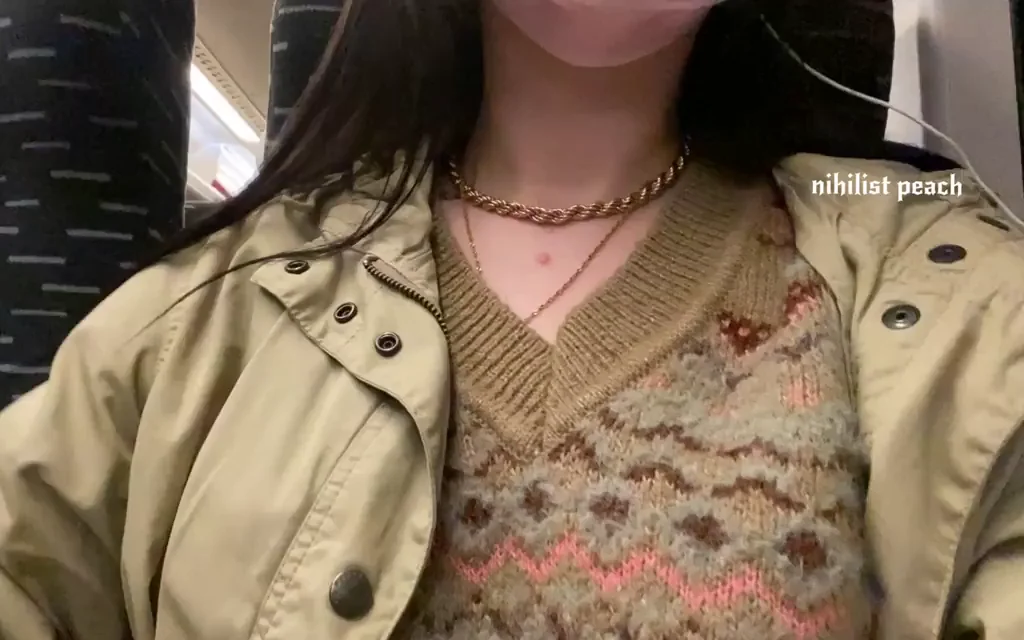 documenting my train ride