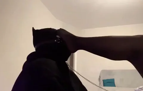 My puppy worships my divine feet 👆… Why aren't you still in his place, hmmm?