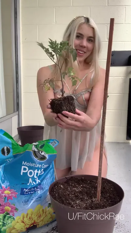 Gardening