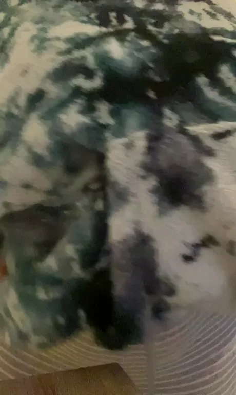 Cute Crop Top Tease Turns into Massive Titty Drop
