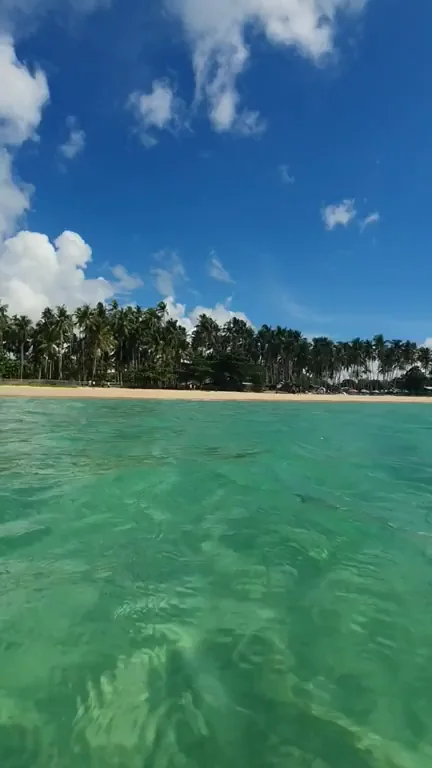 Wanna go for a "swim"? 😁