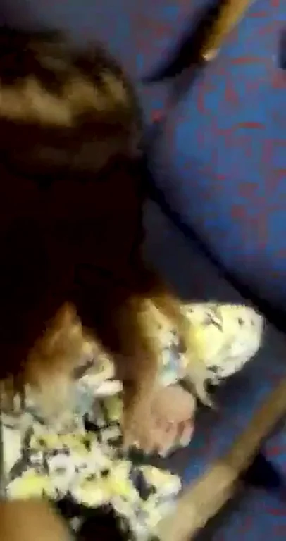 Slutty Train Cock Sucking Adventure
