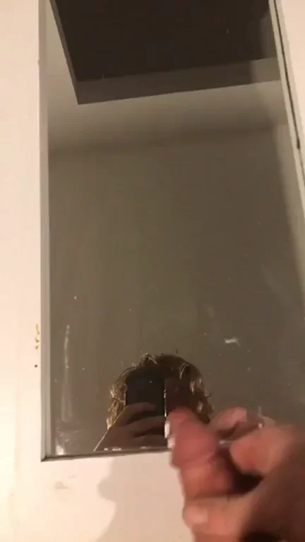Would love to pour this all over you