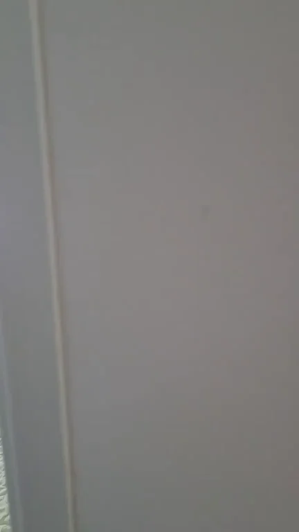 A step bro to slap my ass is what I need in my life