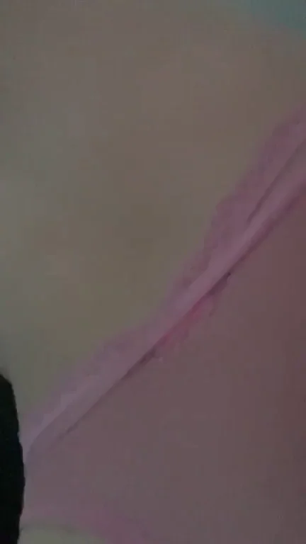 My kitty won't let you pull out