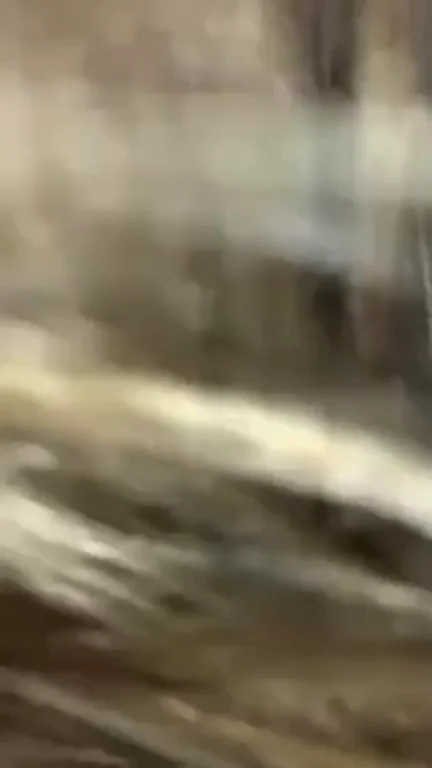 Amateur GIF by johnsniper