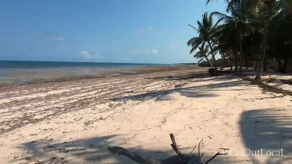 Beach Slut Sucks BF's Thick Cock in Broad Daylight Public Risk