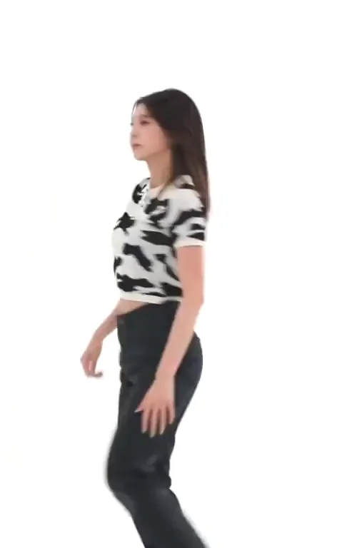 Dreamcatcher - Dami