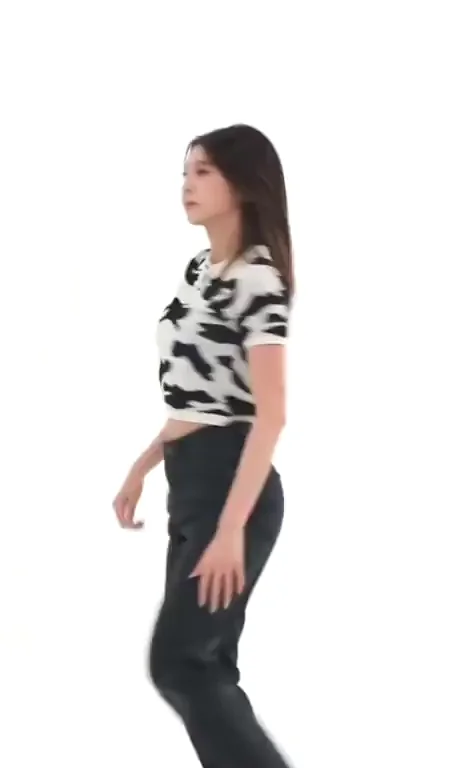 Dreamcatcher - Dami