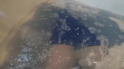 Relaxing after a long day