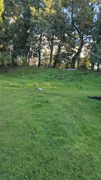My favorite way to do the yard work