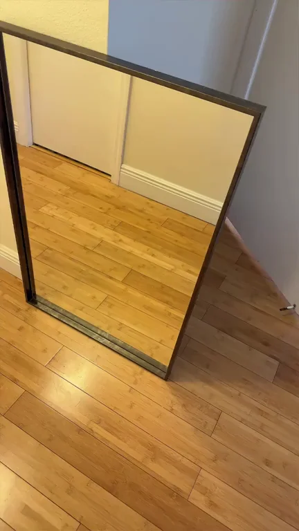Canadian MILF Flashes Her Juicy Pussy in Mirror 😈🍑