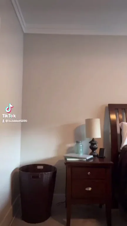 TikTok Tease: Slutty Uniform Stays On While She Drips for the Camera!