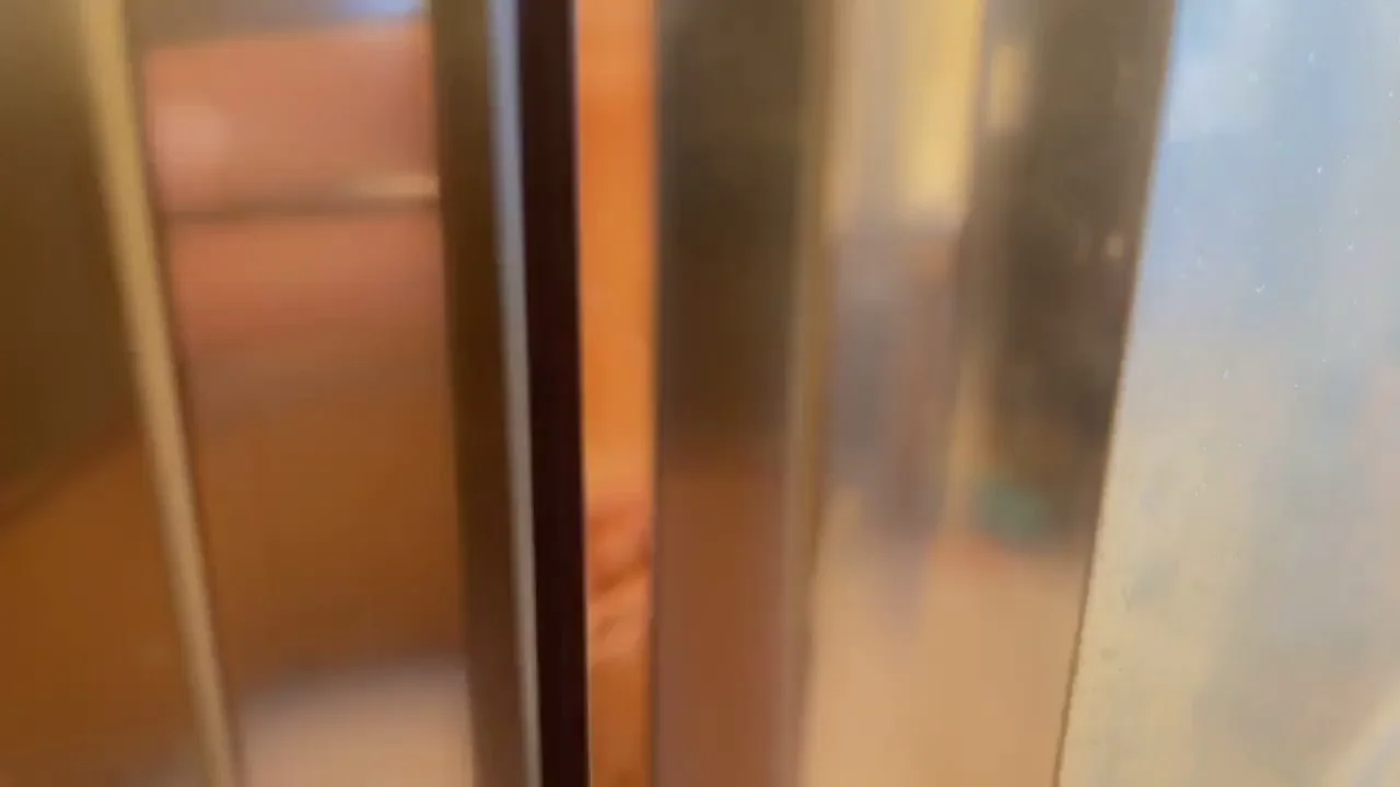 How do my areola's look in the shower ?