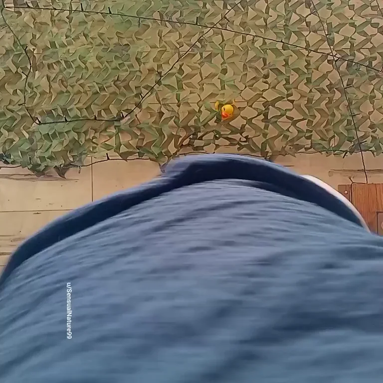 Mind If I Sit on That Dick? 🍑💦