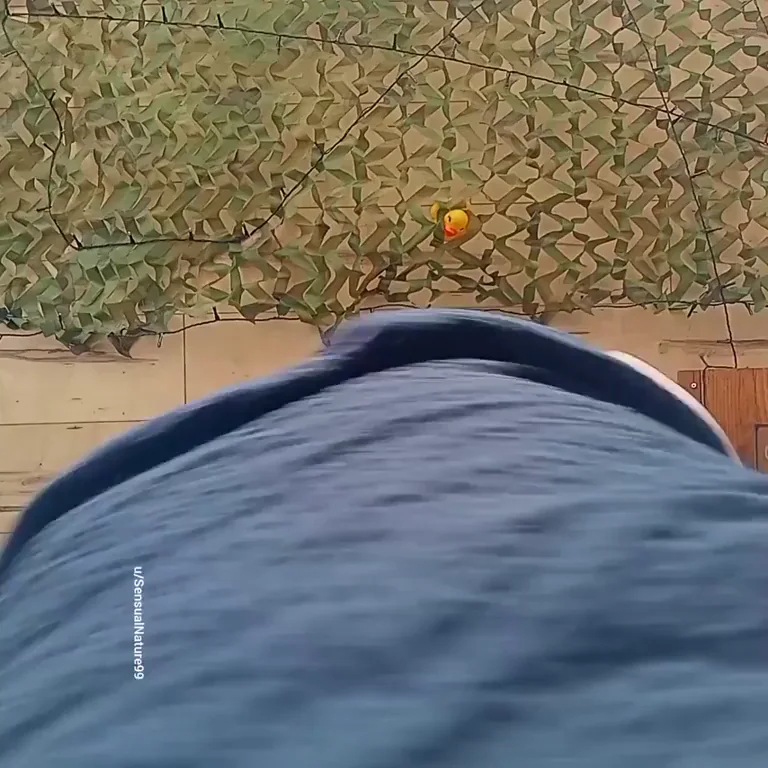 Mind if I sit...