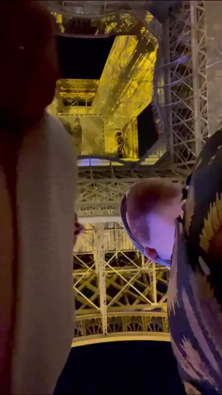 The Eiffel Tower is really flash