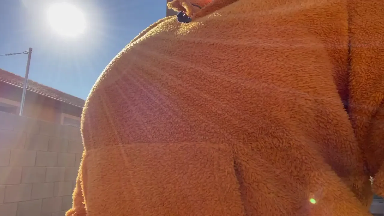 Sweater Hiding My Massive Tits 🍈🍈🔥